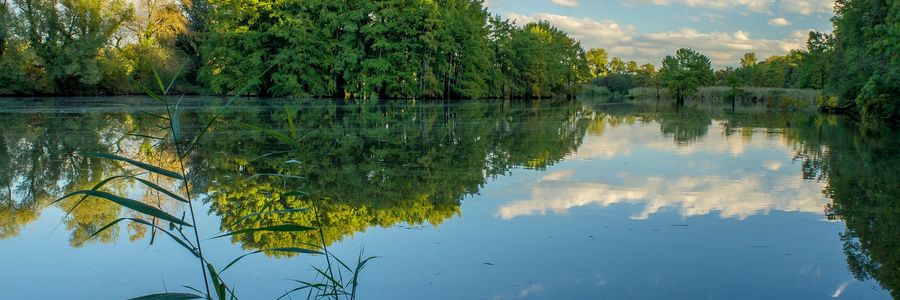 Naturteiche erleben